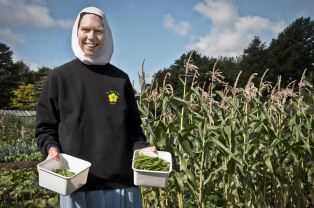 Produce from the Vegetable Garden